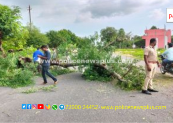 சாலையின் நடுவே முறிந்து விழுந்த மரத்தினை அகற்றிய காவலர்கள்