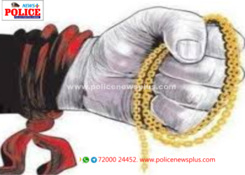 நகையை திருடிச் சென்ற நபர் கைது!