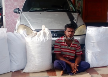 வாகன சோதனையில்  வாலிபர் கைது