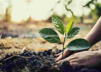 மரக்கன்றுகள்‌ நடும்‌ பணி