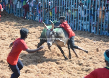 விருதுநகரில் விறுவிறுப்பான போட்டி!