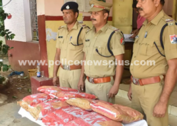 ரெயிலில் கடத்தி வரப்பட்ட,  19½ கிலோ கஞ்சா சிக்கியது!