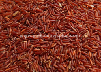 சிவப்பு அரிசி உண்பதால்,  உண்டாகும் பயன்கள்!