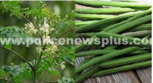 முருங்கை கீரையில், நிறைந்துள்ள உயிர்ச்சத்துக்கள் !