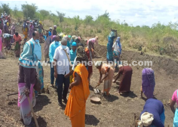 வேலைவாய்ப்பு திட்டபணிகள்,  உதவி இயக்குனர் ஆய்வு!