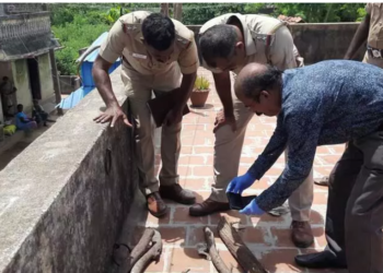 பெட்ரோல் குண்டுவீசிய மர்மநபருக்கு வலை, காவல் துறையினரின் தீவிரம்!