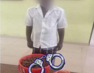 3 கிலோ  கஞ்சா பறிமுதல், குற்றவாளி கைது!