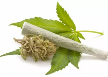 ஆம்பூர் அருகே ரெயிலில் கடத்திய, 4 கிலோ கஞ்சா பறிமுதல்!