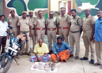 வனத்துறையினர், அதிரடி நடவடிக்கை!