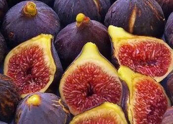 அத்திபழத்தை தினமும் சாப்பிடுவதால், இவ்வளவு நன்மைகளா!