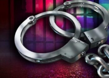 வாகன திருட்டில், கொள்ளை கும்பல் கைது!