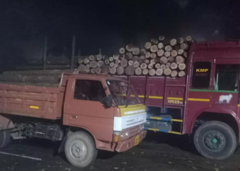 ஏற்காட்டில் மரக்கட்டைகள், வெட்டி கடத்தல் 2 லாரிகள் பறிமுதல்!