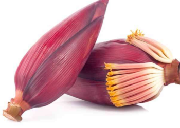 உணவில் இந்த பூவை சேர்ப்பதால், கிடக்கும் பயன்கள்!