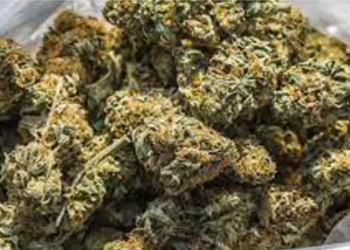 ஆம்பூர் அருகே ரெயிலில் கடத்திய, 4 கிலோ கஞ்சா பறிமுதல்!