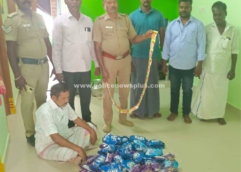 வீட்டில் பதுக்கிய போதைப்பொருட்கள், குற்றவாளி கைது!