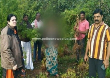 சொந்தமான நிலத்தில் கஞ்சா பயிர்,காவல்துறையினரின் அதிரடி!