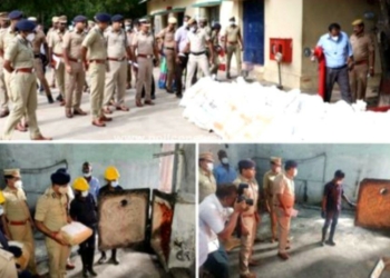 கிலோ கணக்கில் கஞ்சா அழிப்பு!