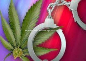 காரில் கஞ்சா கடத்திய 2 பேர் கைது