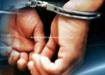 13 வழக்குளில் ரவுடி உட்பட 2 பேர் கைது!