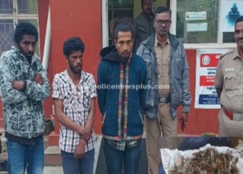 பயணிகளுக்கு போதை காளான்,சிக்கிய பெங்களூர் வாலிபர்!