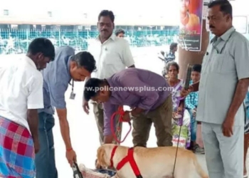 மோப்ப நாய் உதவியுடன் பலத்த பாதுகாப்பு ஏற்பாடு!