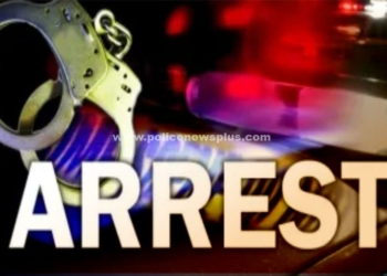 வழிப்பறியில் புதுக்கோட்டை வாலிபர் கைது!