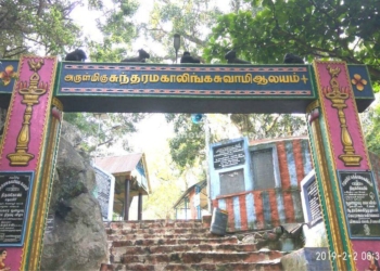 சதுரகிரிமலைக்கு பக்தர்கள் செல்வதற்கு தடை விதிப்பு