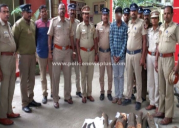 சந்தன கட்டை கடத்தல் குற்றவாளிகள் கைது!