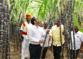 தோட்டங்களை ஆய்வு  செய்த ஆட்சித் தலைவர்