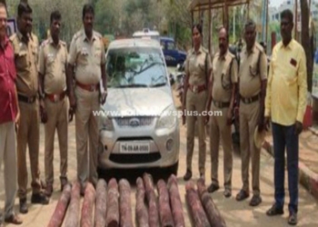 கடத்த முயன்ற செம்மரக்கட்டைகள் பறிமுதல்!