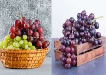 புற்றுநோய் உட்பட பல நோய்களுக்கு அருமருந்தாகும் பழம்..!