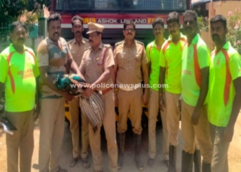 சில நிமிடங்களில் பறவையின் உயிரை மீட்ட தீயணைப்புத் துறையினர்