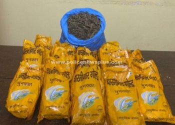 கஞ்சா மற்றும் கஞ்சா சாக்லேட்டுகள் பறிமுதல் கோவை S.Pயின் அதிரடி வேட்டை