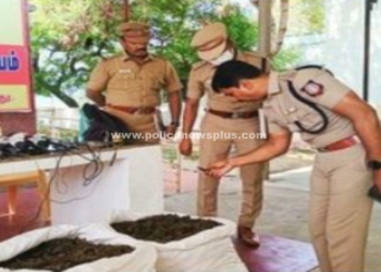 சரக்கு வாகனத்தில் கடத்தி வரப்பட்ட 120 கிலோ கஞ்சா