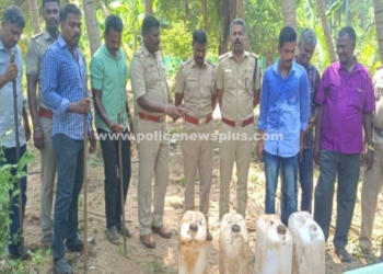 தேடுதல் வேட்டையில் 105 லிட்டர் எரி சாராயம் பறிமுதல்!