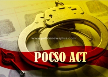 பாலியல் வன்கொடுமை வாலிபருக்கு போக்சோ