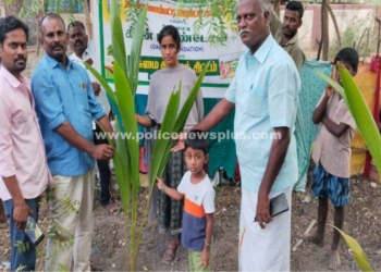 பசுமை கிராம திட்டத்தில் இல்லங்கள் தோறும் தென்னங்கன்றுகள் வழங்கல்