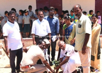 ஊராட்சியில் பசுமை கிராம திட்டம் துவக்கம்