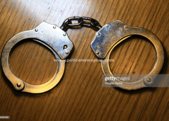 294 ரூபாய் மதிப்பில் குட்கா பொருட்கள் விற்பனை செய்யவதால் நபர் கைது 