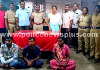 நகை பறித்து சென்ற மூன்று பேர் கைது