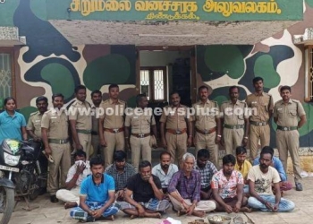 காட்டுப்பன்றி வேட்டையாடியவர்களில் மீது வனத்துறை நடவடிக்கை