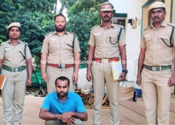 யானையை சுட்டு கொன்ற நபர் கைது