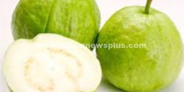 கொய்யாப் பழத்தின் நன்மைகள்