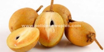 சப்போட்டா பழத்தின் நன்மைகள்
