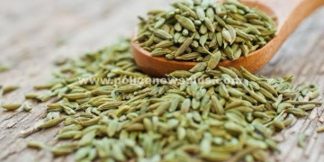 எப்படி அதிகரித்த எடையைக் குறைக்க வேண்டும்