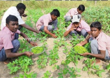 காய்கறி தோட்டதில் அசத்திய அரசு பள்ளியில் மாணவர்கள்