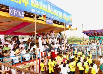 ஜல்லிக்கட்டு விழா