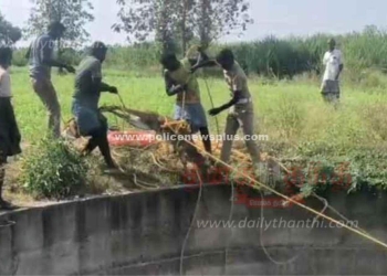 கிணற்றில் விழுந்தவரின் உடலை மீட்ட தீயணைப்புத் துறையினர்