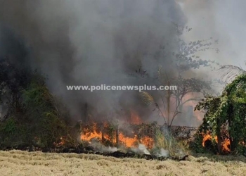 பழைய பேப்பர் சேகரிக்கும் கிடங்கில் திடீர் தீ விபத்து