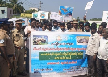 கடல் ஆமைகள் பாதுகாப்பு குறித்து விழிப்புணர்வு பேரணி